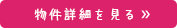 詳細を見る