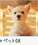 ペットOK賃貸物件特集